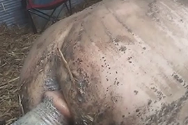 Dirty