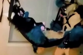 Furry tied up and fucked