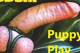 075 bdsm puppy play
