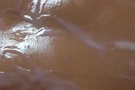 A steamy shower turns into a hot session of self-pleasure for an Asian guy. His skilled hands work his hard cock, building to a satisfying climax. The camera captures every detail in HD.