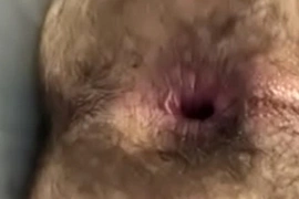 Asshole gapes after getting fucked