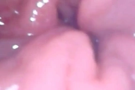Inside my anal pussy view