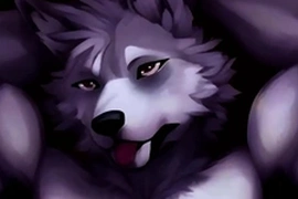 Gay furry animation 1