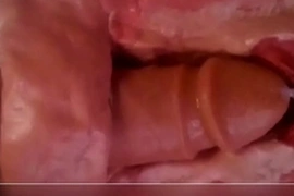 Close up & internal view of anal dildo fucking