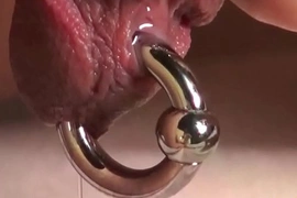 Gay asian solo tugging